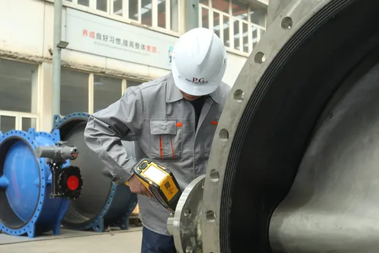 Cast Iron Pn16 Y Strainer with SS304 Screen