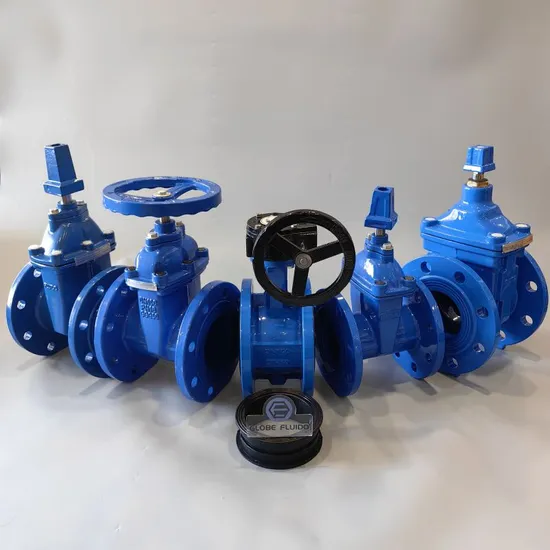 ASTM DIN ANSI ASME Ductile Iron Flanged Cast Iron DN40