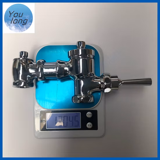 Wall Mounted Bathroom Flush Faucet Brass Time Delay Urinal Toilet Flush Valve