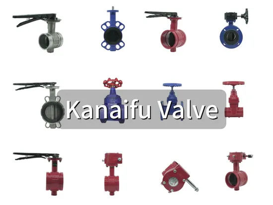 Kanaifu DN65 Pn16 Stainless Steel Water System Y Type Water Filter Strainer for Water 
