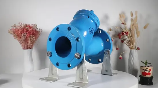 OEM High Quality DN15 ANSI Cast Iron Flanged Y Type Strainer Ss Filter Industry Valve Price 