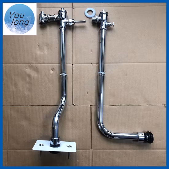 Time Delay Bathroom Toilet Flush Valve