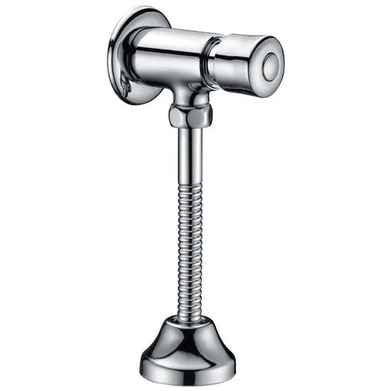 Toilet Wall Mount Push Button Time