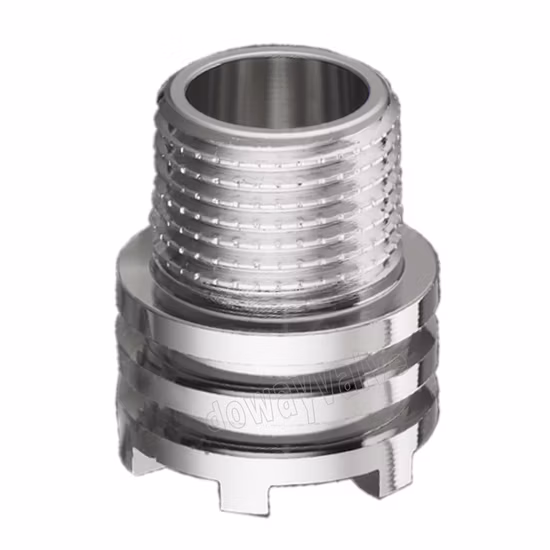 DN15 Brass Male Union Insert for PPR Fitting
