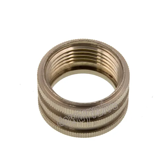 Customized Female Brass Insert for PPR Fittings 