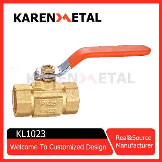 Cast Iron Float Control Valve