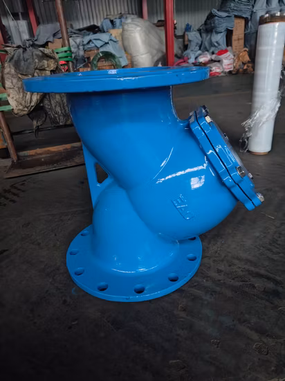 Ductile Iron Y Type Strainer Double Flange Water DIN/JIS/ASME/ASTM/GB