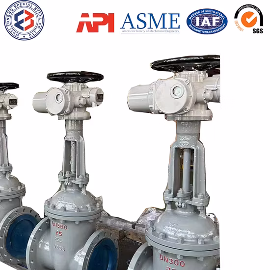 Lead Free Premium 1/2 Inch Bath Angle Valve for Pipe Fitting