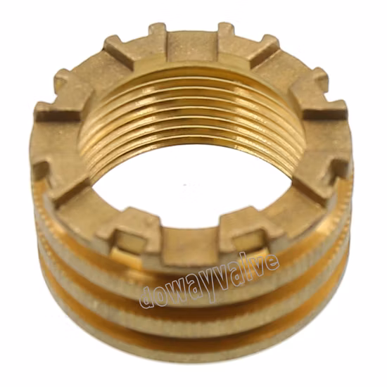 Brass PPR Female Insert Plated with Nickle