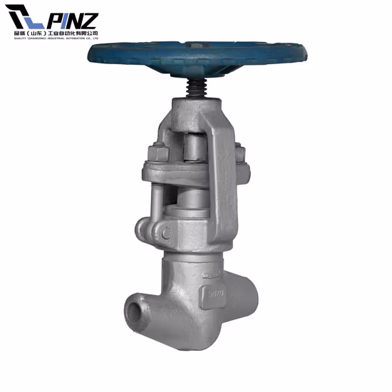 Ss Ball Valve Stainless Steel Ball Valve Industrial Like Angle Globe Valves for Mainline Clog