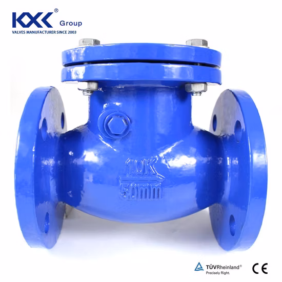 Pn16 Duction Cast Iron Body Flang Silence Double Plate Swing Lift Ball Type Non Return Valve Check Valve