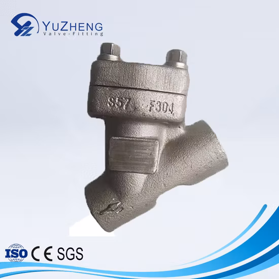 Forged Steel 304/316/A105 Thread Y Strainer