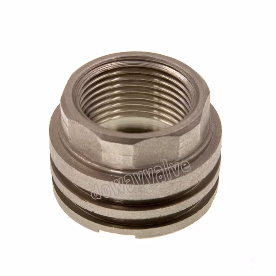 Customized Female Brass Insert for PPR Fittings