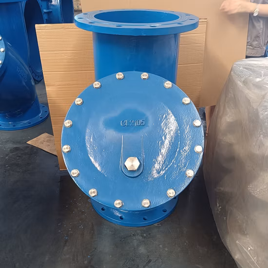 DIN Pn16 Cast Iron Ductile Iron Y Type Strainer DN100