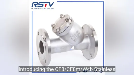 API Cast Stainless Steel Flange End 150lb/300lb/600lb Filter Y Strainer 