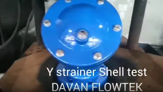 Y