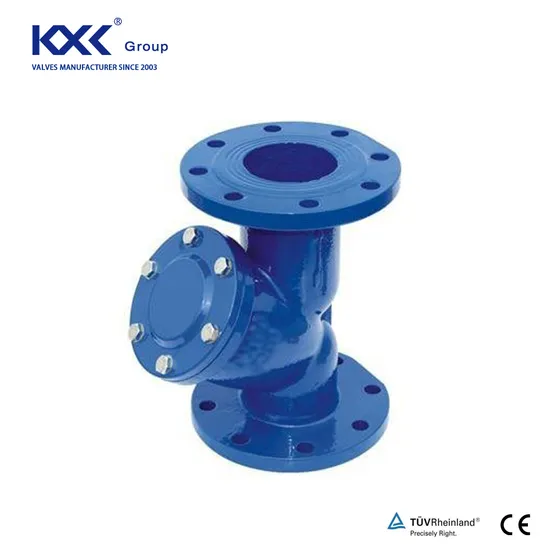 DIN Awwa Cast Iron Flanged Y Strainer Y